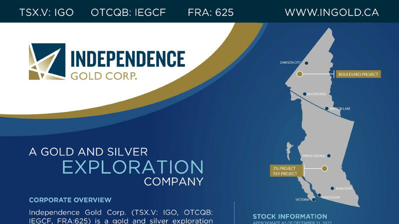 Igo Factsheet February 2026